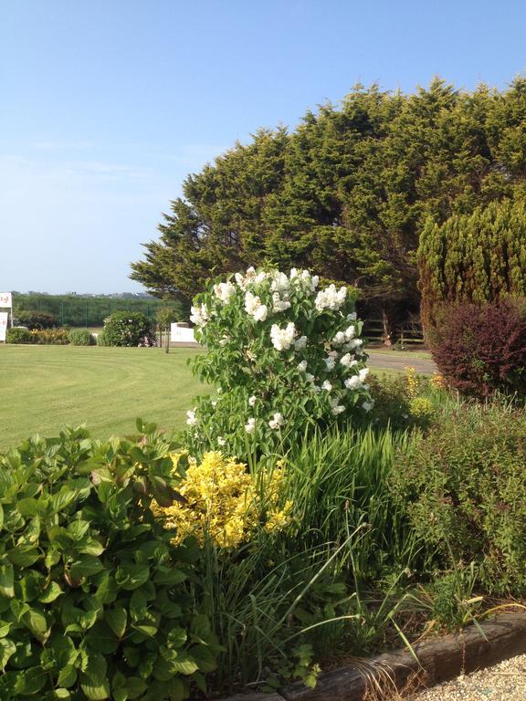 Abrae House Guest House Rosslare Harbour Exterior foto